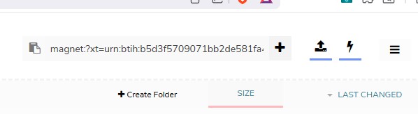 Paste magnet link in Seedr
